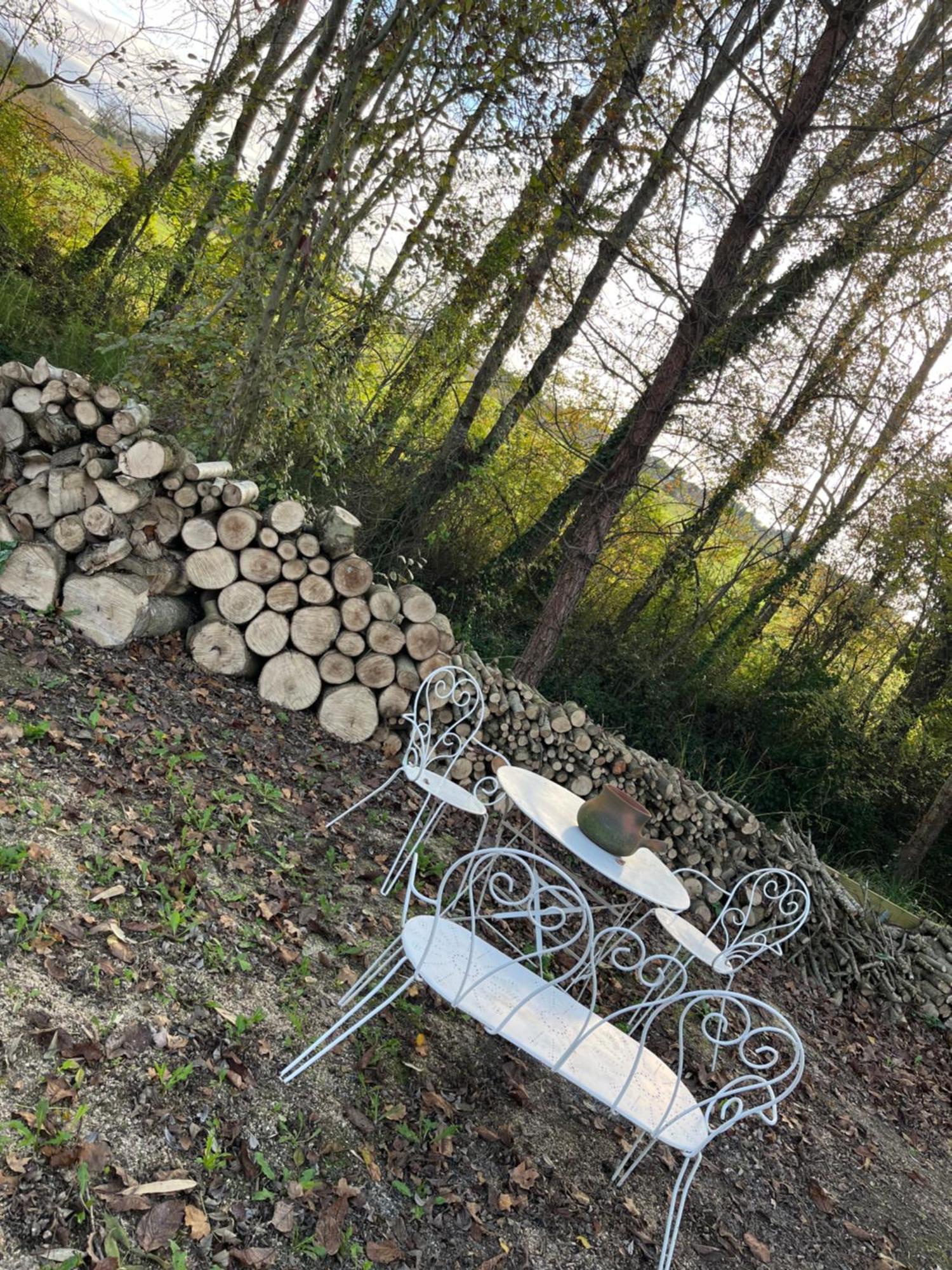 Villa Chez Mamie LʼIsle-Jourdain Esterno foto